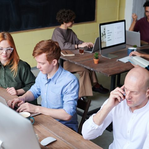 Teamwork: colleagues collaborating on project.